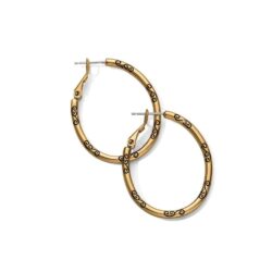 Oval Hoop Charm Earring